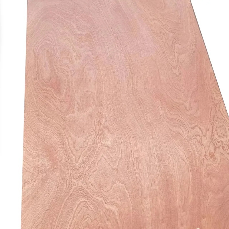 Sapele Veneer Plywood sheet 12mm furniture plywood