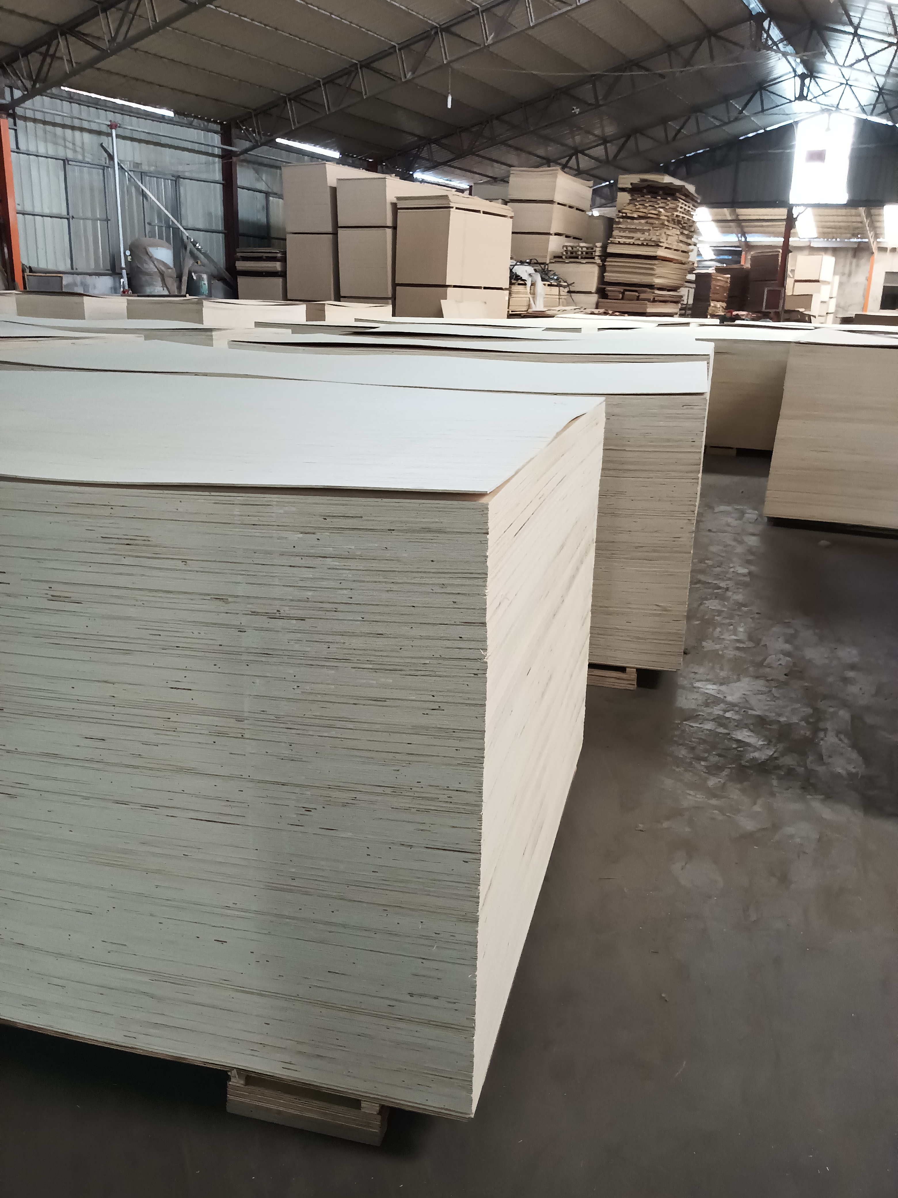 EV plywood 3mm 4mm Plywood 1220 x 2440 mm plywood