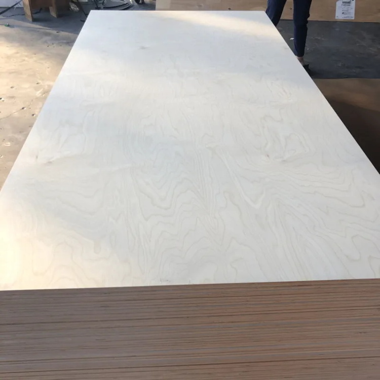 Linyi factory birch faced plywood 3-28mm poplar/eucalyptus core plywood uv coading plywood for furniture/construction