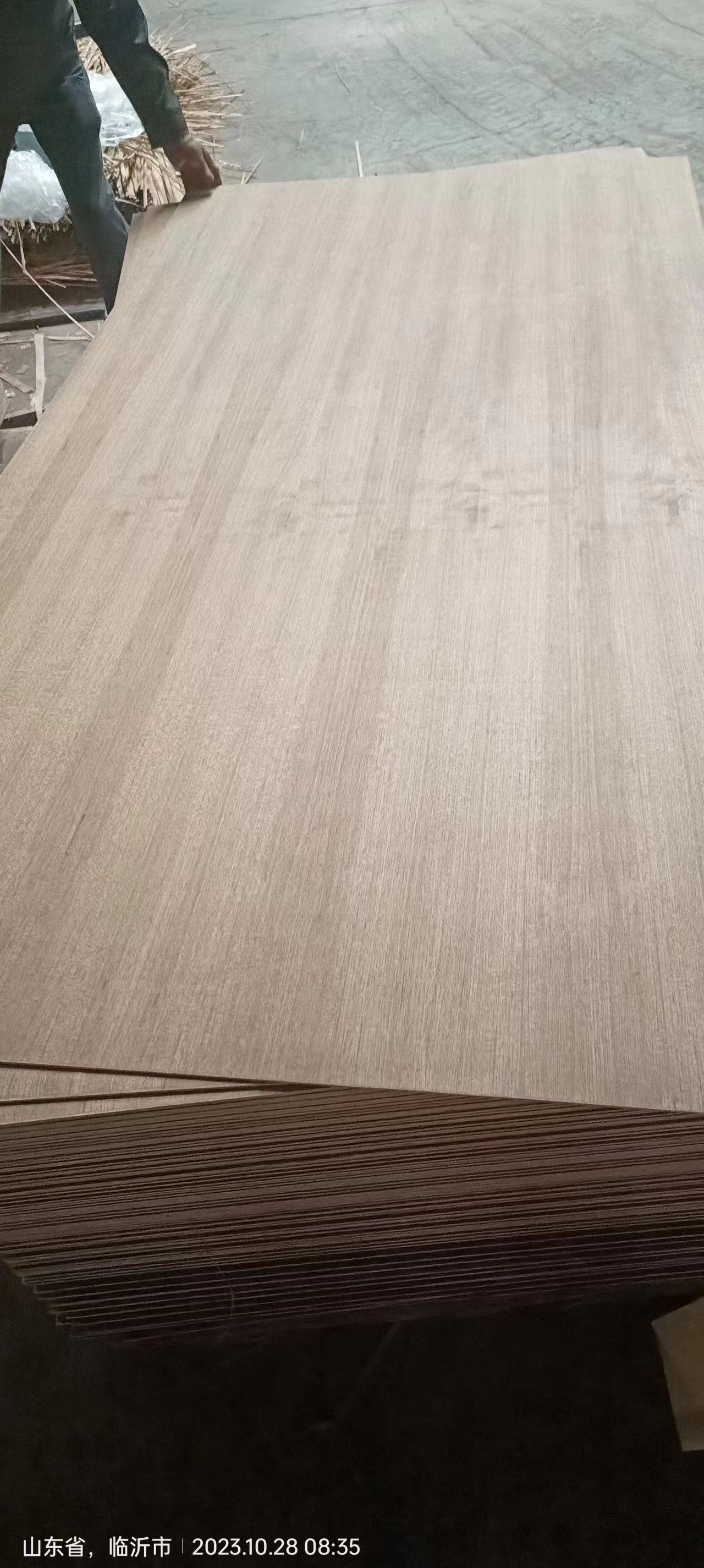 Cheap Price Wholesale Natural Oak Walnut Sapele Parota Teak Veneer Fancy plywood 3mm 4mm 5mm 12mm 15mm Plywood For Furniture