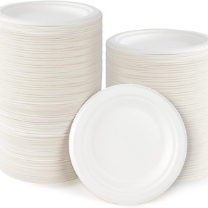 Bagasse Paper Plates Disposable Sugarcane Bagasse Tray Compostable Paper Plates