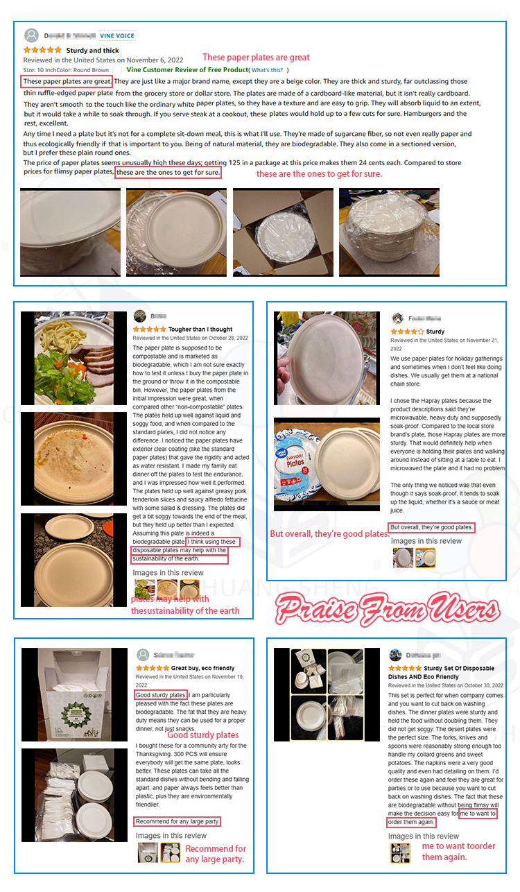 Bagasse Paper Plates Disposable Sugarcane Bagasse Tray Compostable Paper Plates