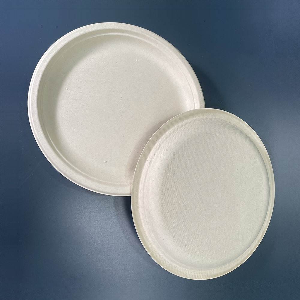 Sugarcane 10 Inch Plate Dispos Rectangular White Biodegradable Customizable Compostable Bagasse Dinner Disposable Paper Plates