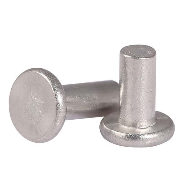 Metal Custom Semi Tubular Solid Step Flat Round Countersunk Head M2 M3 M4 M5 M6 M8 Rivets For Fastening bridges