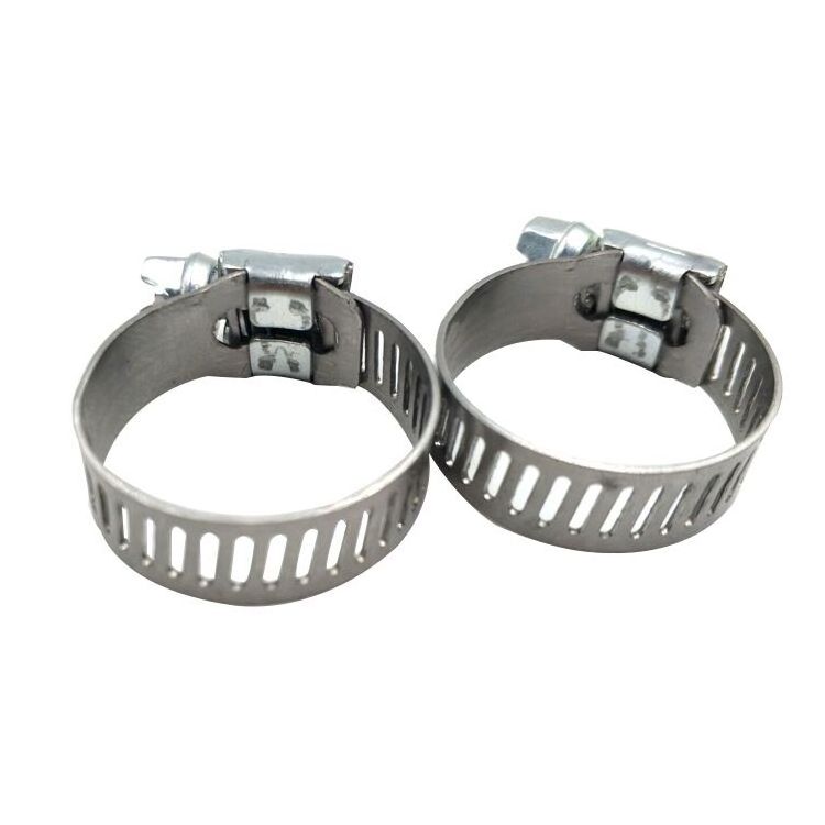 Stainless steel pole mounting hose clamp/hose clip