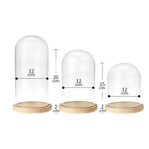 Wholesale Hand Blown Clear Glass Dome Display Decorative Lead Free Glass Dome