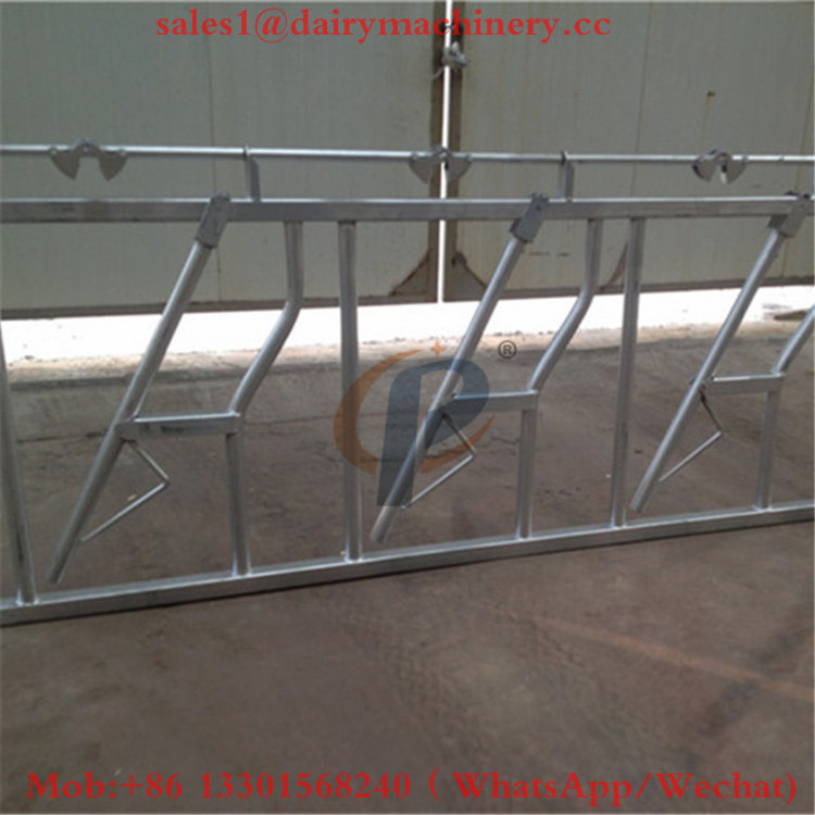 Hot dip galvanized jersey cow headlock used cattle feed headlock prices in india for sale 6 Meter Long of 8 Cows Lock