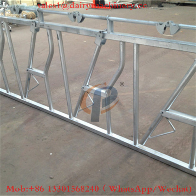 CHUANGPU cow head lock product cow dairy farm equipment headlocks for cattle equipment for dairy farm