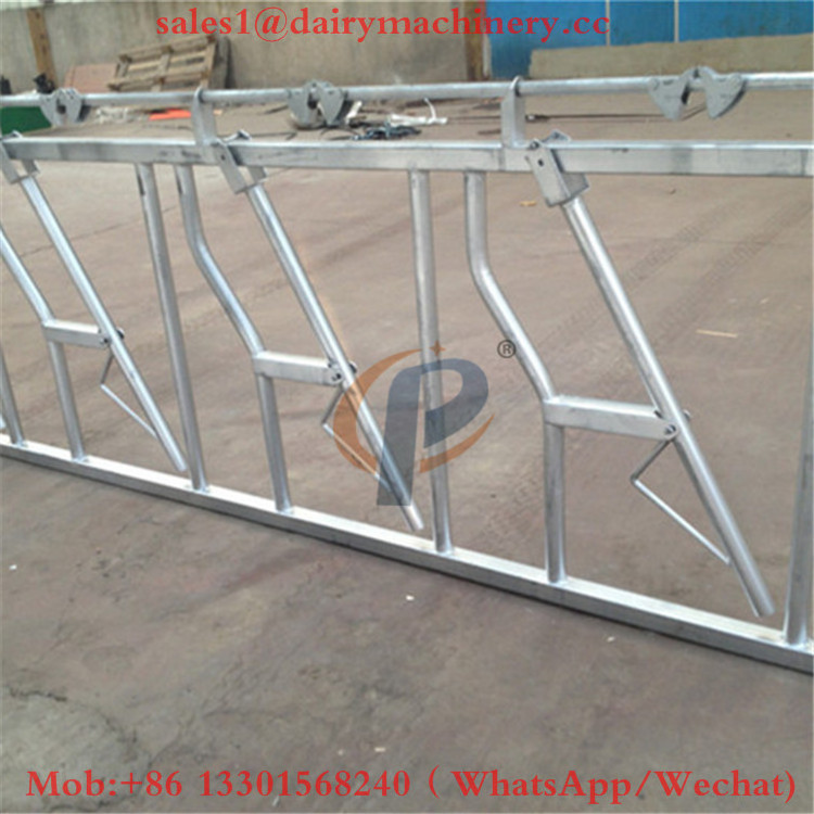 Hot dip galvanized jersey cow headlock used cattle feed headlock prices in india for sale 6 Meter Long of 8 Cows Lock