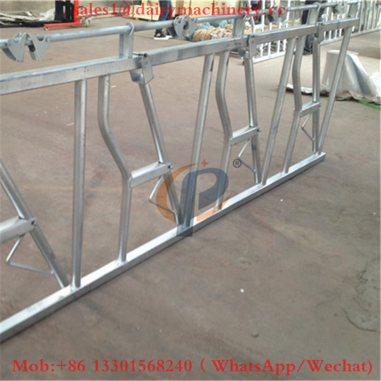 Hot dip galvanized jersey cow headlock used cattle feed headlock prices in india for sale 6 Meter Long of 8 Cows Lock