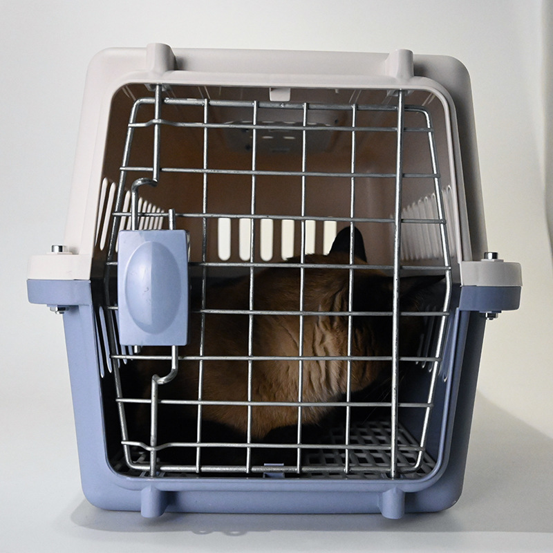 Best Selling Small Animal Dog Travel Carrier Cage Small Flight Plastic Pet Carrier big dog cages for sale outdoor household