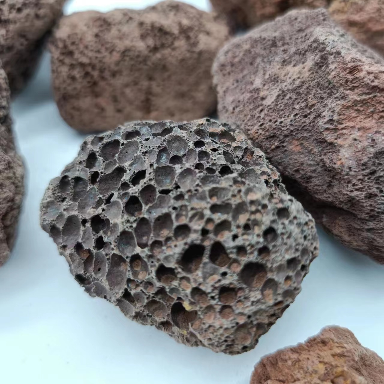 Volcanic rock crushed stone used for soilless cultivation of flower potted garden