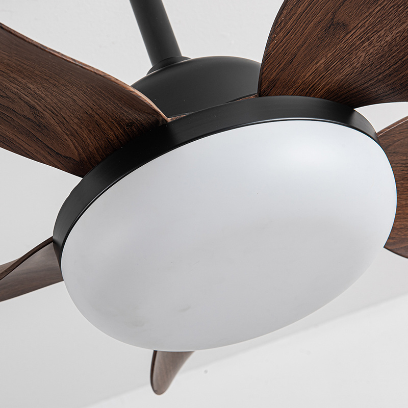 Nordic Decorative High Quality Modern simple DC motor ceiling fans with lights and remote control and ceiling fans