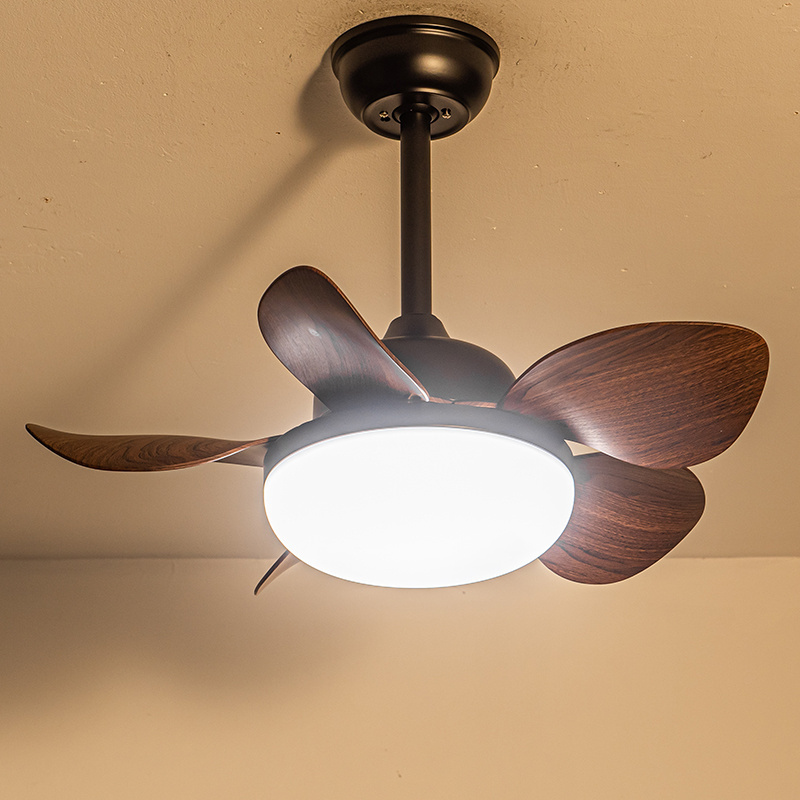 Nordic Decorative High Quality Modern simple DC motor ceiling fans with lights and remote control and ceiling fans