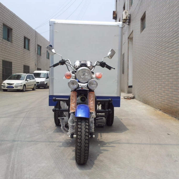 Hot Selling Frozen Cabin Three Wheel Motorcycle /ice Cream Delivery Refrigerator Tricycle Price