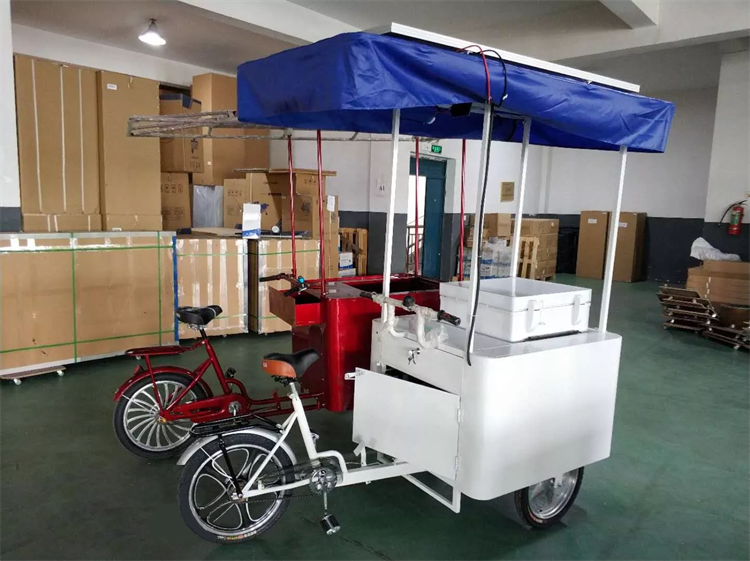 Ice Cream Tricycl Cart Manufacturers Food Truck Refrigerated Adult Electric Tricycle With Cooler Box