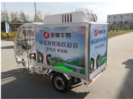 Mini Refrigerator Cold Freezer 3 Wheel Motorised Tricycle Adult Electric Tricycle With Cooler Box