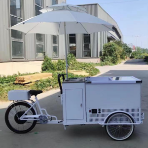 Business Use High-Quality Front Loading Pedal Assist Freezer Tricycle Solar Ice Cream Bike For Sale