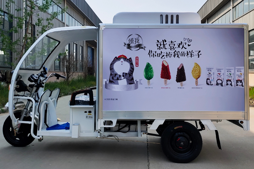 Mini Refrigerator Cold Freezer 3 Wheel Motorised Tricycle Adult Electric Tricycle With Cooler Box