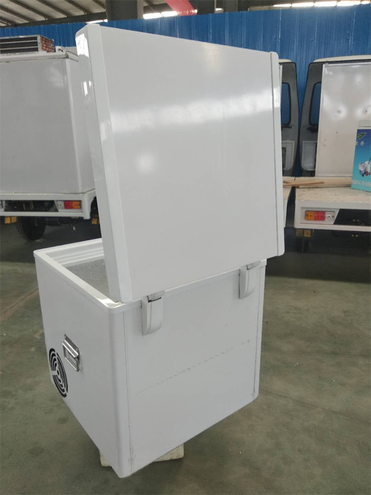 Dc12v/24v Mini Refrigerator Refrigerated Motorcycle WIth Delivery Box Mobile Fridge