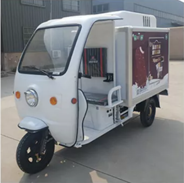 Mini Refrigerator Cold Freezer 3 Wheel Motorised Tricycle Adult Electric Tricycle With Cooler Box