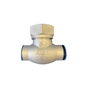 DH61F-40P Low Temperature Lift Check Valve Stainless Steel Check Valve Liquid Oxygen Liquid Nitrogen Gas Check Valve