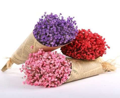 Wholesale Cheap Dry Flowers Wedding Dried Decorative Flower Best Natural Real Dried Pampas Grass