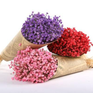 Wholesale Cheap Dry Flowers Wedding Dried Decorative Flower Best Natural Real Dried Pampas Grass