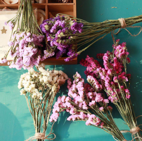 Wholesale Cheap Dry Flowers Wedding Dried Decorative Flower Best Natural Real Dried Pampas Grass