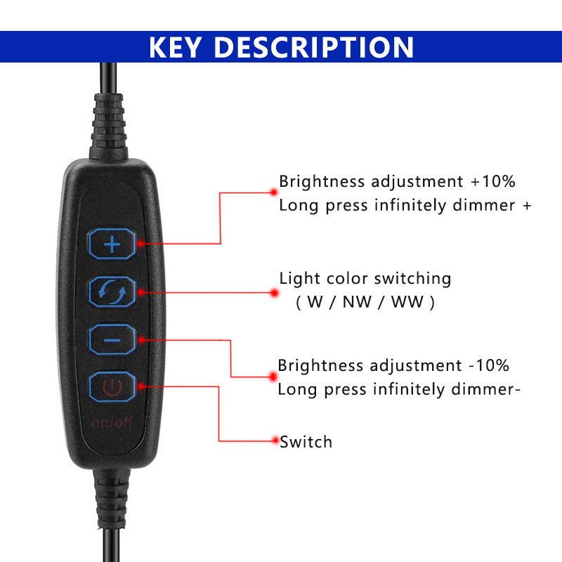 1Set 5V USB Dual Color LED Strip Light 120LEDs/M 0.5m 1m 2m 4m 5m 3000K-6500K SMD 2835 with 4-Button 3-Wire 2-Channel CCT Dimmer