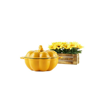 2023  Hot Selling Enamel Non Stick Pumpkin Cast Iron Casserole Pot