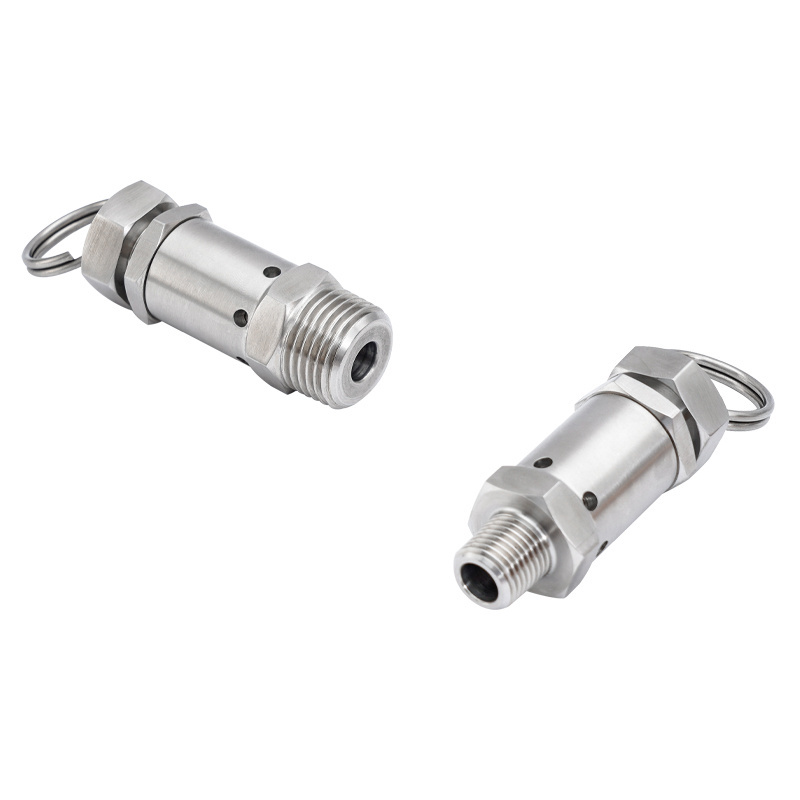 Mini Pressure Safety Valve Type Air Compressor Relief Exhaust Valve 304 Stainless Steel 2 Points 4 Points Spring Gas 1 Piece