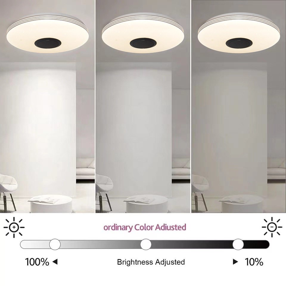 Colorful Dazzling Designer Bluetooth Music Stepless Dimming RGB Voice App Control Modern Led Ceiling Light Smart Home Lights