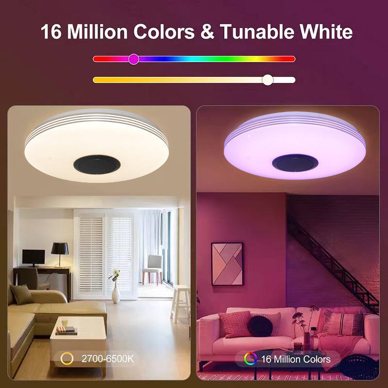 Colorful Dazzling Designer Bluetooth Music Stepless Dimming RGB Voice App Control Modern Led Ceiling Light Smart Home Lights