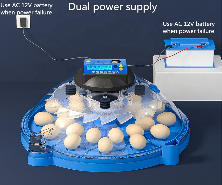 automatic mini incubator chicken egg incubator