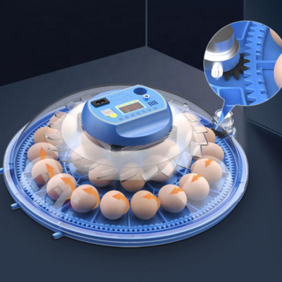 automatic mini incubator chicken egg incubator