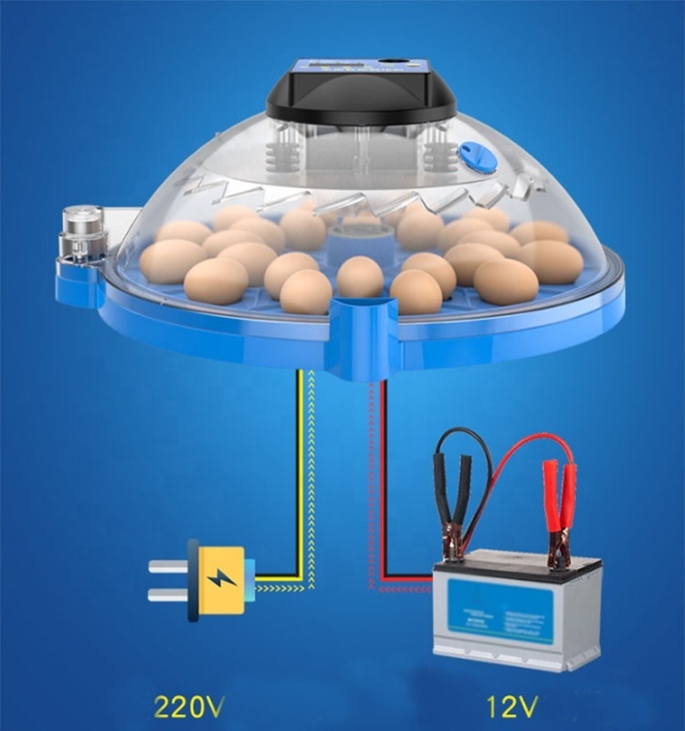 automatic mini incubator chicken egg incubator