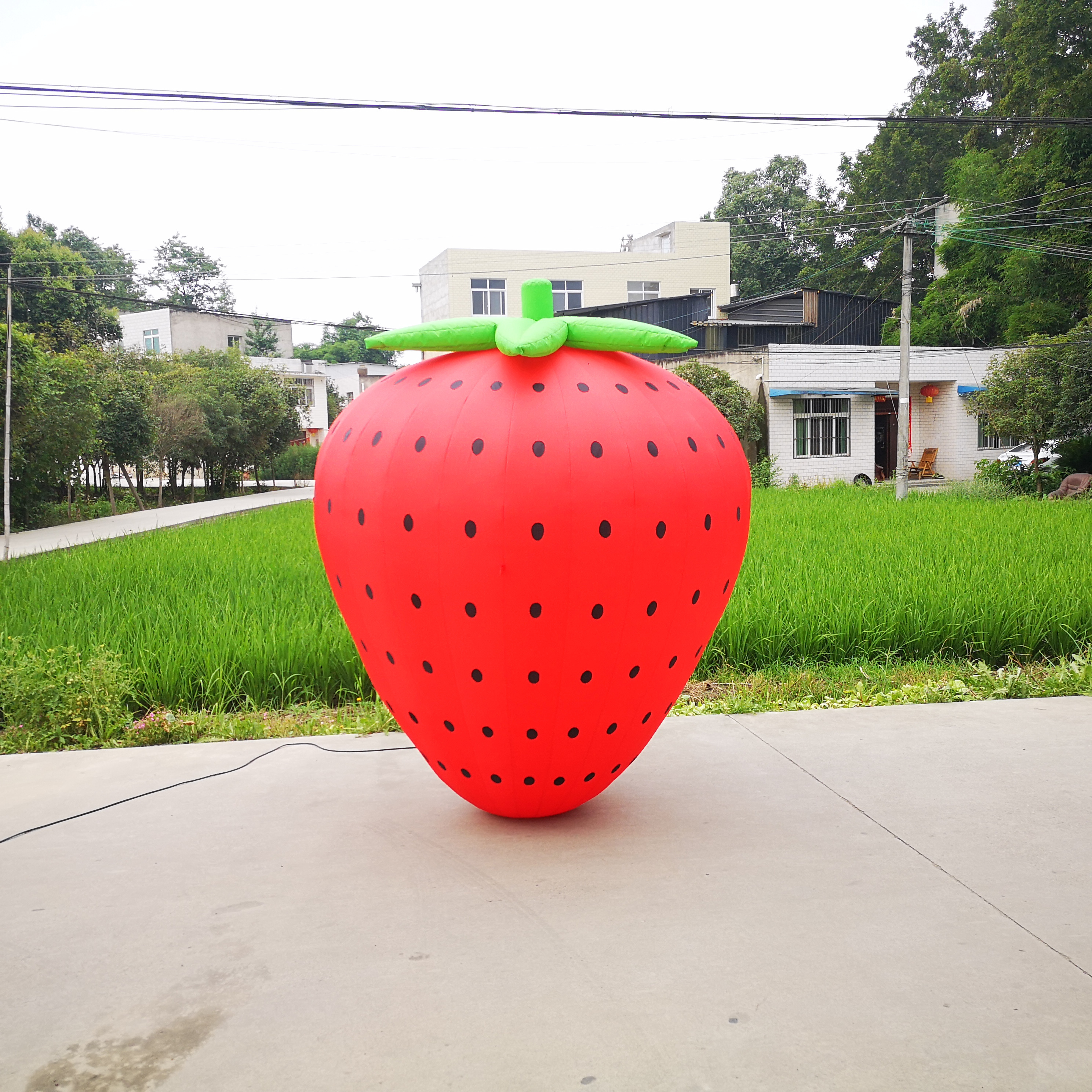 Customized inflatable fruit inflatable red strawberries