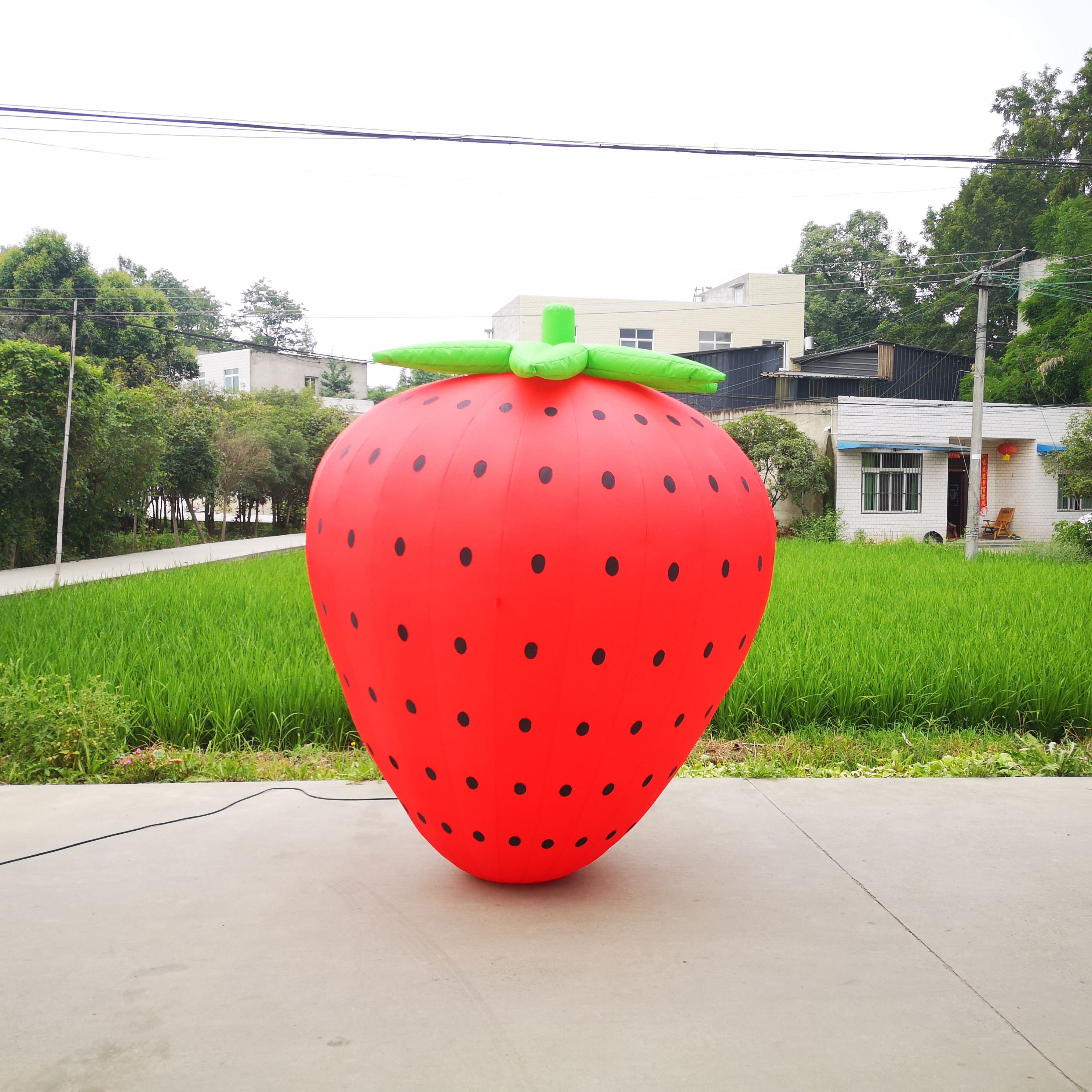 Customized inflatable fruit inflatable red strawberries