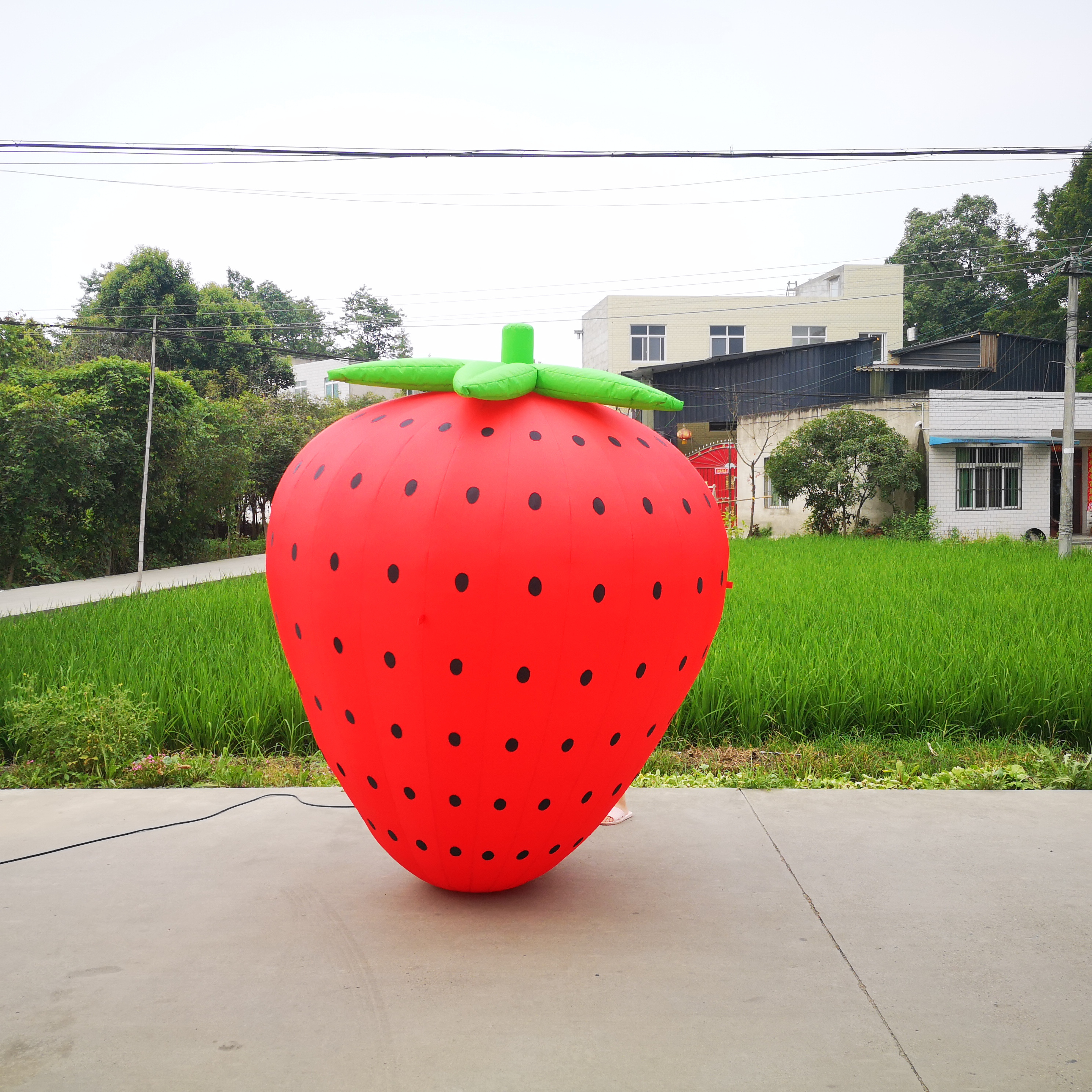 Customized inflatable fruit inflatable red strawberries