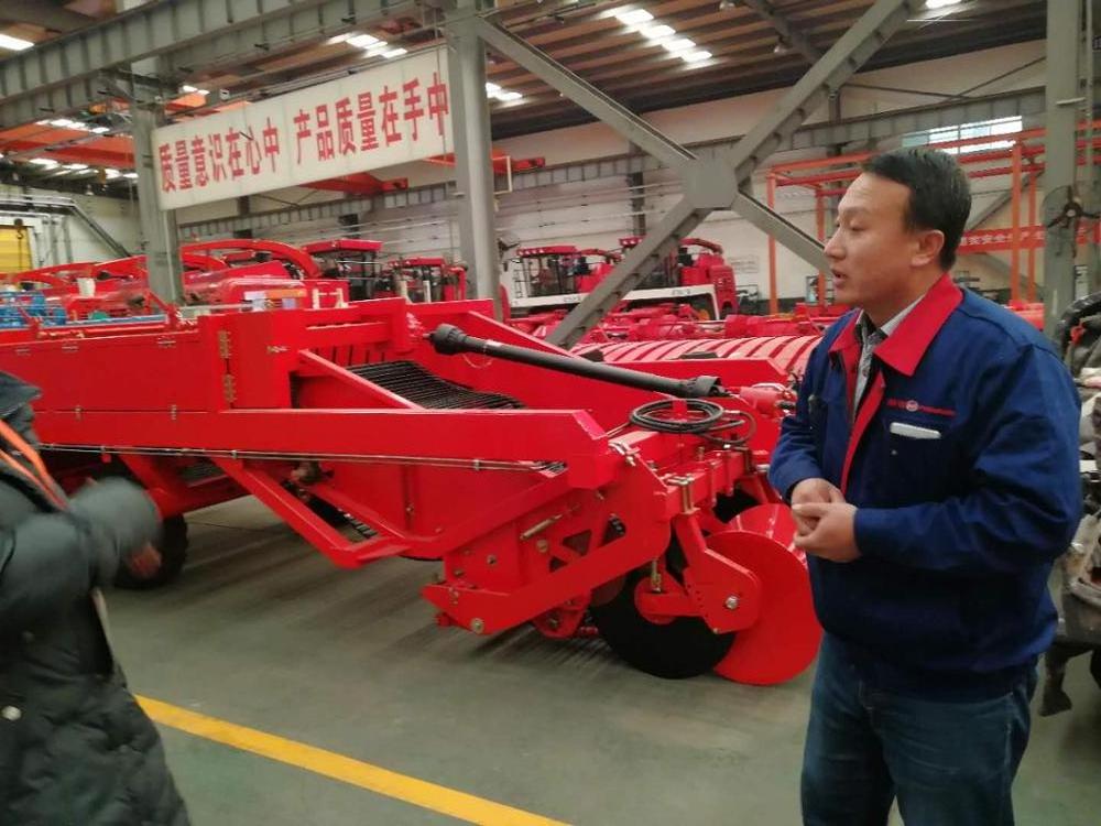 single row potato harvester for sale