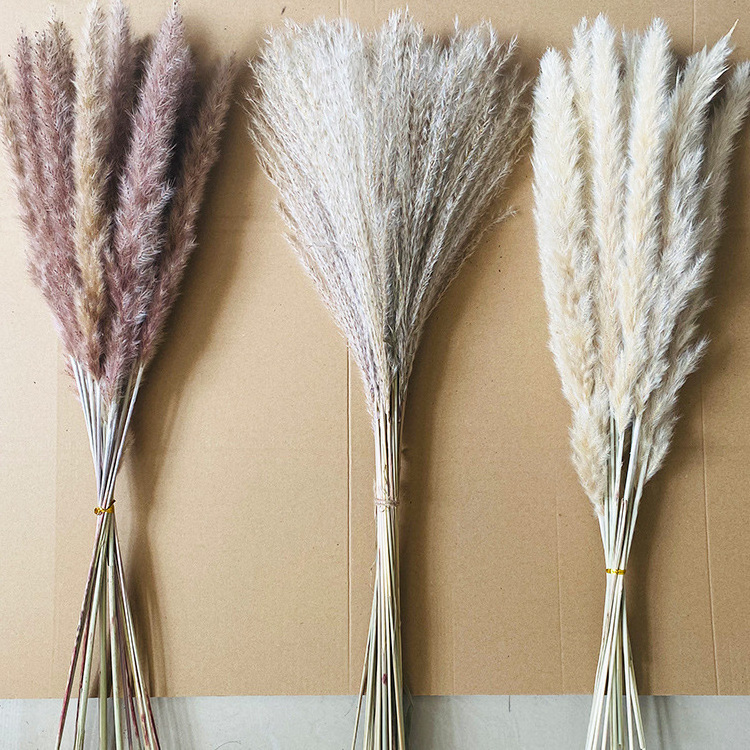 Factory Drectly Fluffy Pampas Grass Wedding Decor Flower Artificial Pampas White Dried Large Pampas Grass