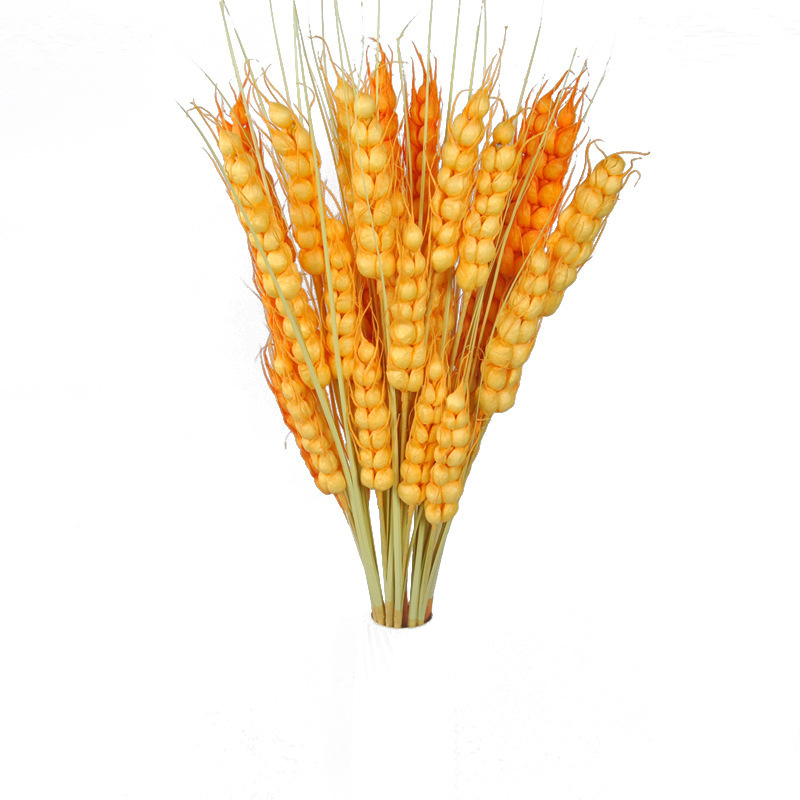 Wholesale 2023 New artificial wheat stalks realistic gold wheat ears pampas grass For Room Bedroom Decoration