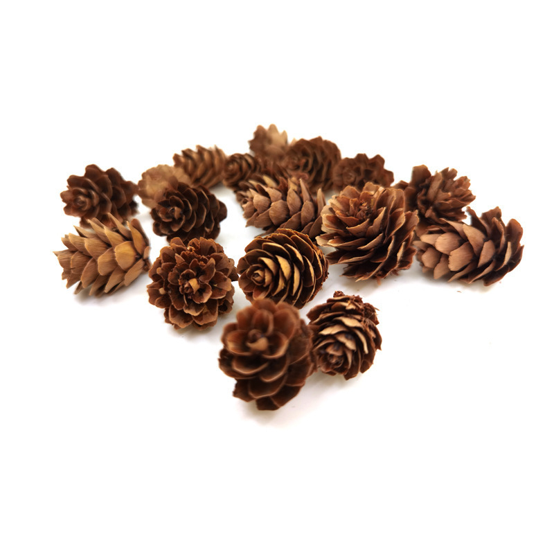 Natural Christmas Hanging Pinecones Factory Directly Tipped Cones Ornaments Pine Cones Pendant Decoration