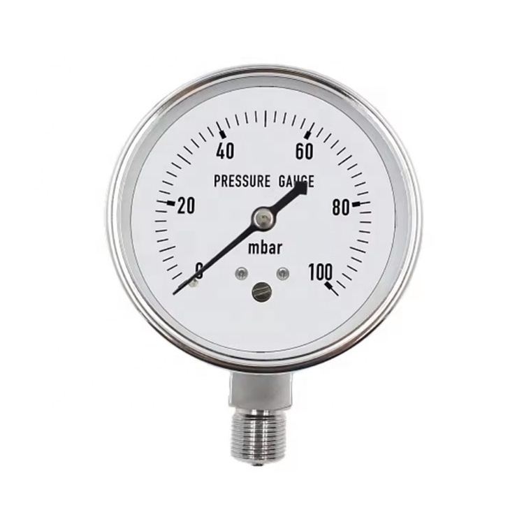 CIPPUS stainless steel pressure gauge with brass fitting high quality pressure gauge