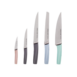 Wholesale Custom Mother's Day Gift High Quality Japanese Carbon Steel Chefs Steak Knife Kitchen gadget Knife Set