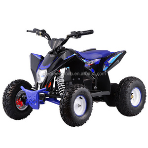 new arrival 36V 1000W Electric ATV mini quad