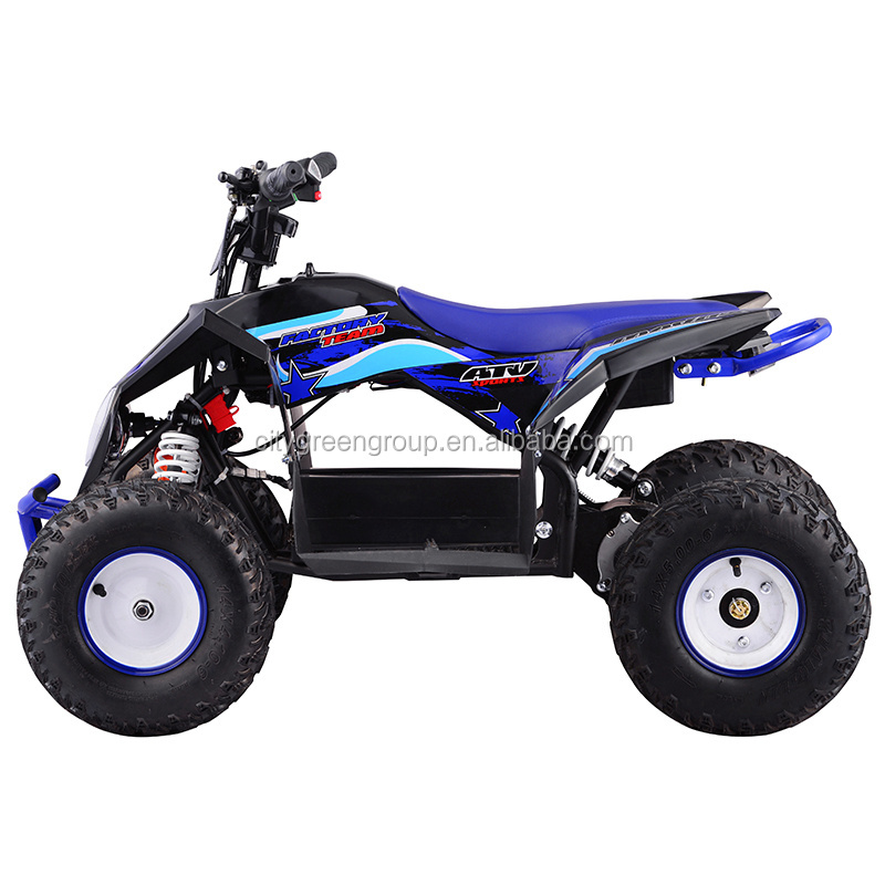 new arrival 36V 1000W Electric ATV mini quad