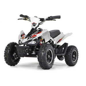 kid electric mini atv/new item mini Quad 500w 800W