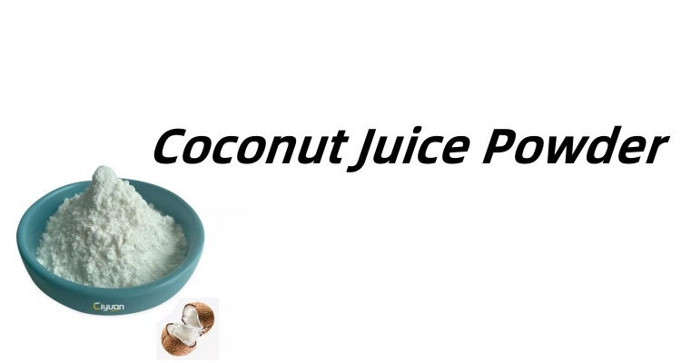 Ciyuan Bio Manufacture Supplier Water Soluble Coconut Water Powder Coconut Milk Powder MCT Oil Powder